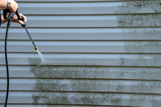 Best Shed Removal  in West Leechburg, PA