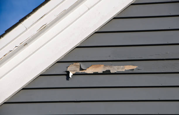 Best Property Management Cleanouts  in West Leechburg, PA